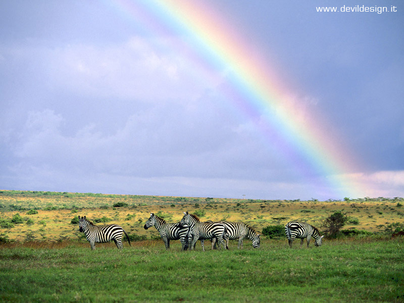 After the Storm, Kenya, Africa copia